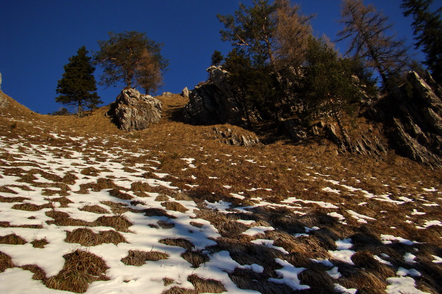 Takmer Krakova hoľa (Nízke Tatry)