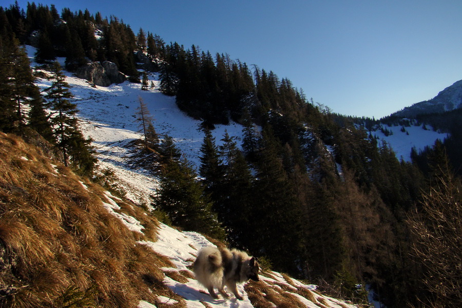 Takmer Krakova hoľa (Nízke Tatry)