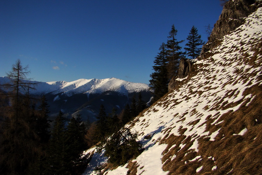 Takmer Krakova hoľa (Nízke Tatry)