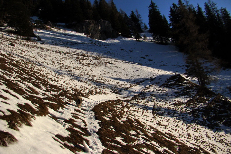 Takmer Krakova hoľa (Nízke Tatry)