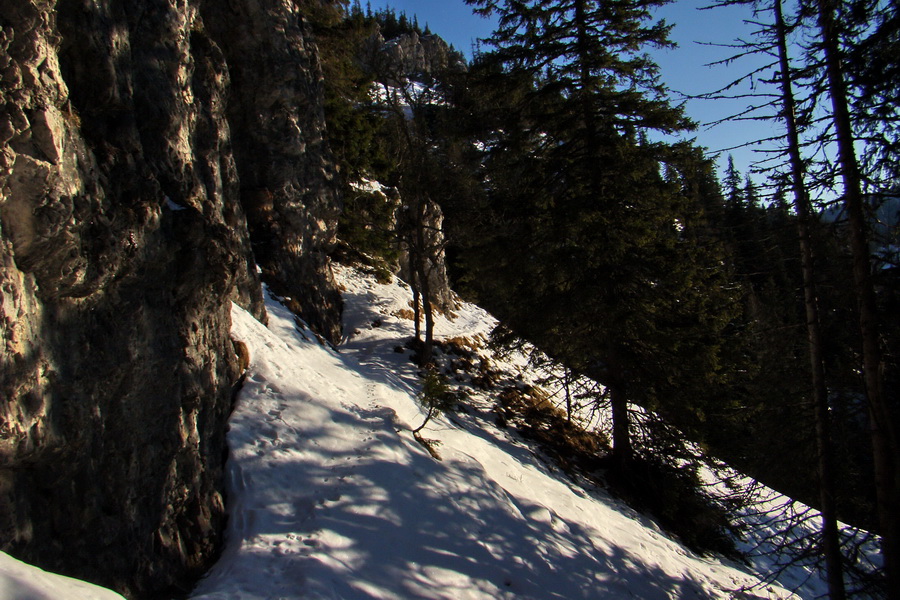 Takmer Krakova hoľa (Nízke Tatry)