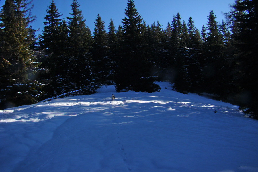 Takmer Krakova hoľa (Nízke Tatry)