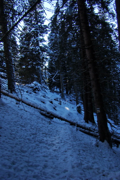 Takmer Krakova hoľa (Nízke Tatry)