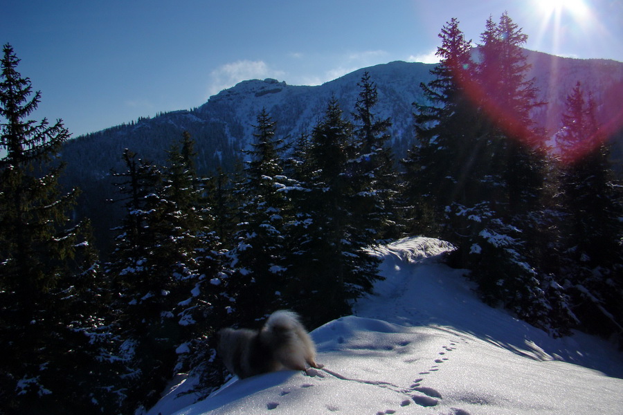 Takmer Krakova hoľa (Nízke Tatry)