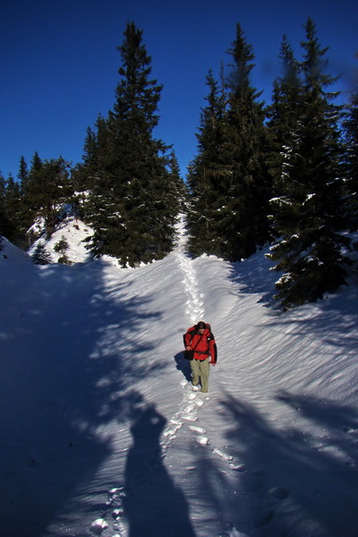 Takmer Krakova hoľa (Nízke Tatry)