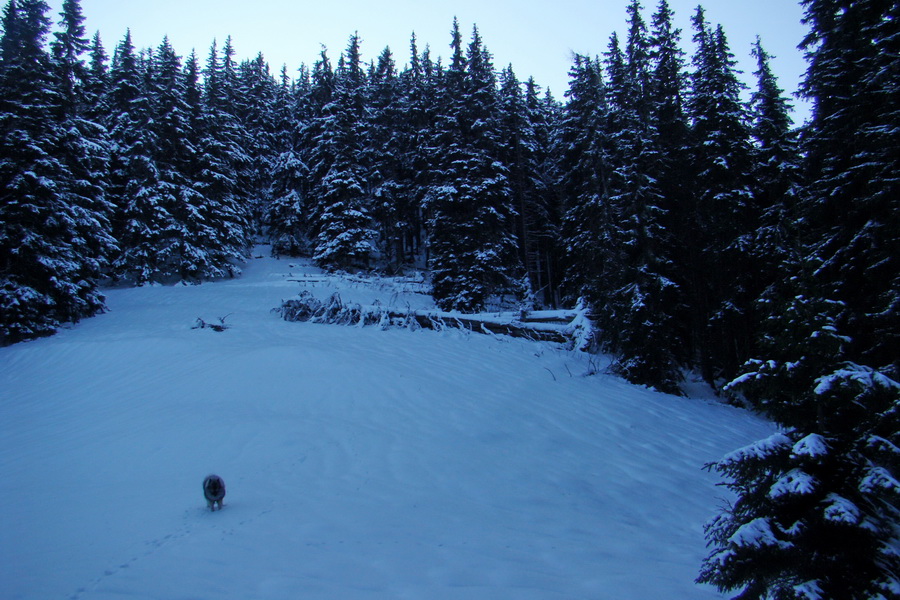 Takmer Krakova hoľa (Nízke Tatry)