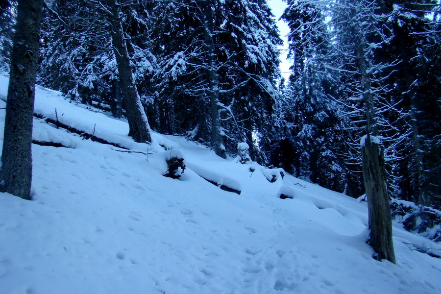 Takmer Krakova hoľa (Nízke Tatry)