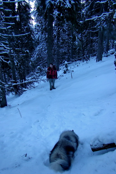 Takmer Krakova hoľa (Nízke Tatry)