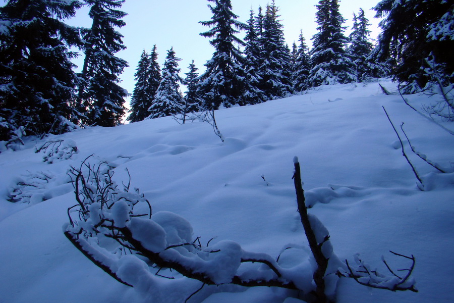 Takmer Krakova hoľa (Nízke Tatry)