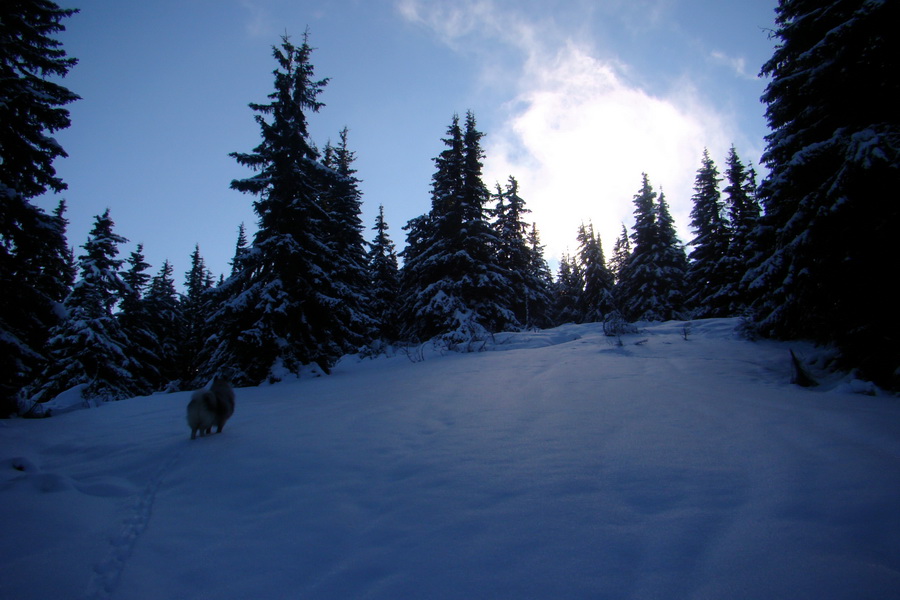 Takmer Krakova hoľa (Nízke Tatry)