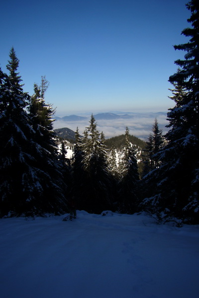 Takmer Krakova hoľa (Nízke Tatry)