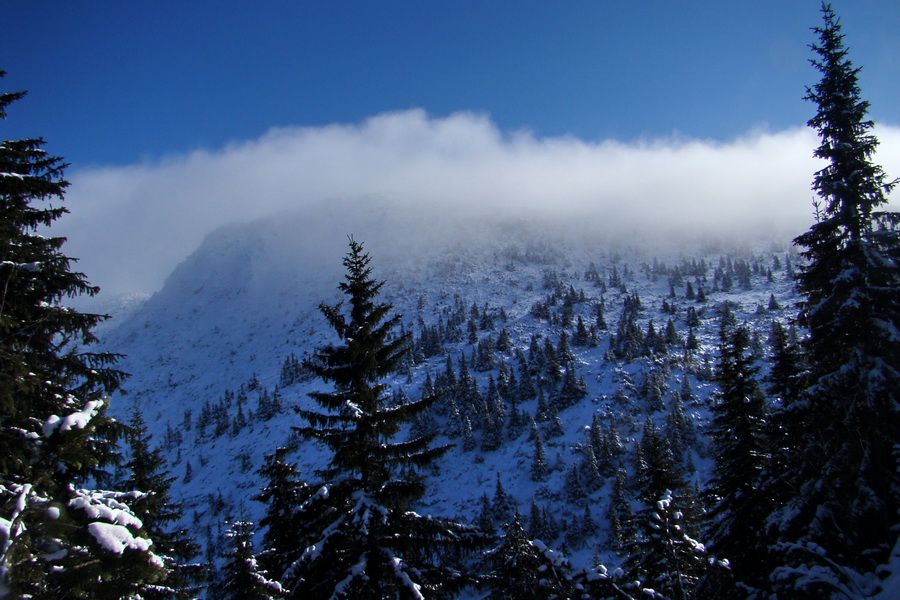 Takmer Krakova hoľa (Nízke Tatry)