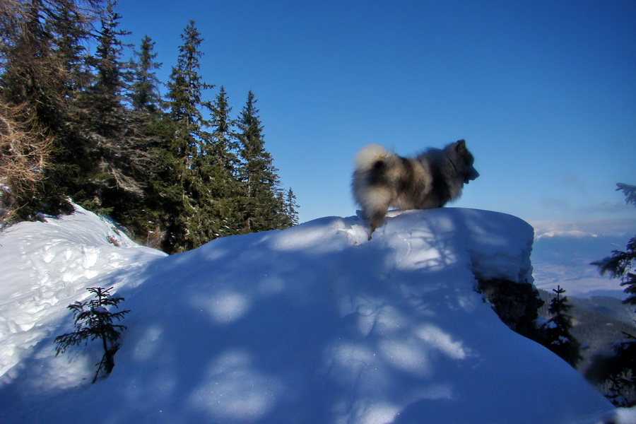 Takmer Krakova hoľa (Nízke Tatry)