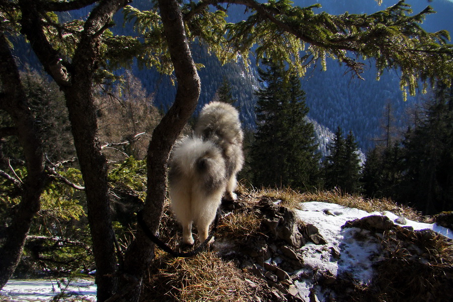 Takmer Krakova hoľa (Nízke Tatry)