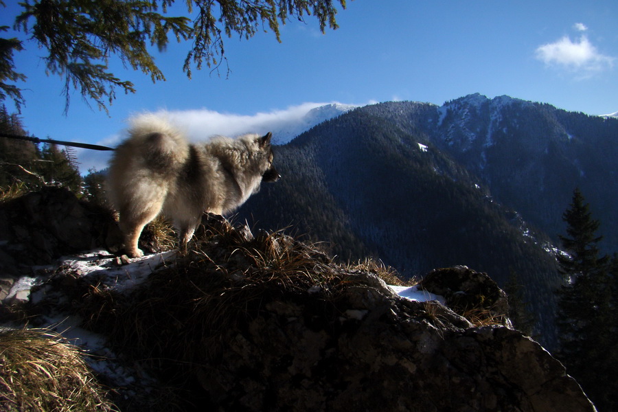 Takmer Krakova hoľa (Nízke Tatry)