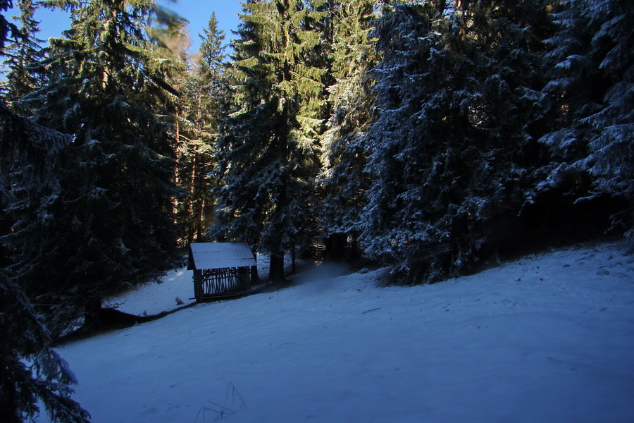 Takmer Krakova hoľa (Nízke Tatry)