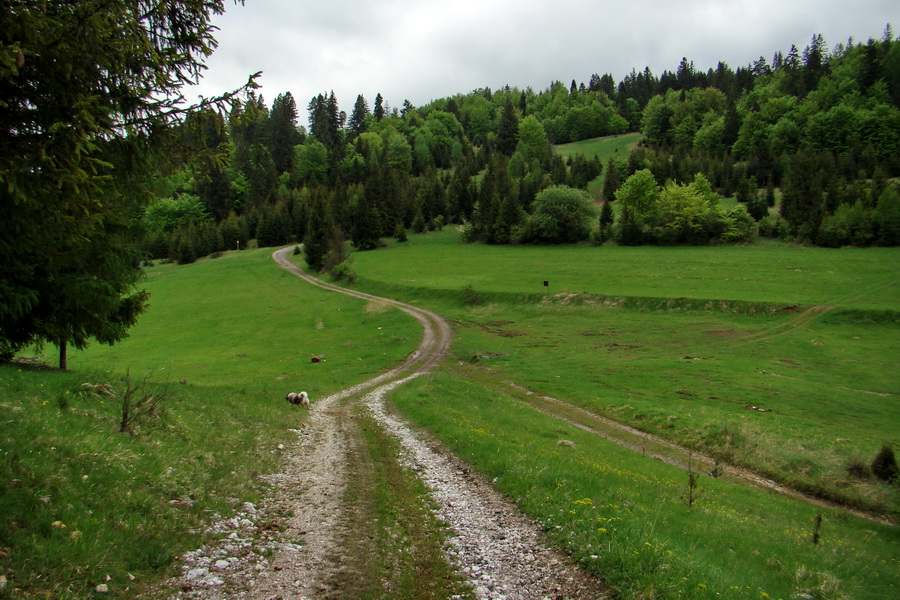 Vysoký vrch (Volovské vrchy)