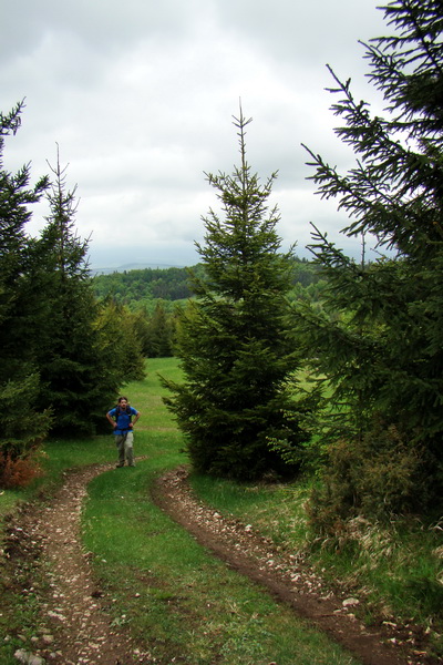 Vysoký vrch (Volovské vrchy)