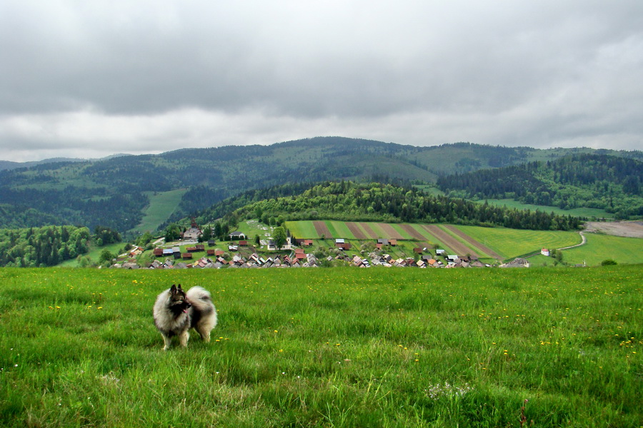 Vysoký vrch (Volovské vrchy)