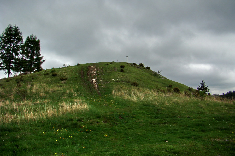 Vysoký vrch (Volovské vrchy)