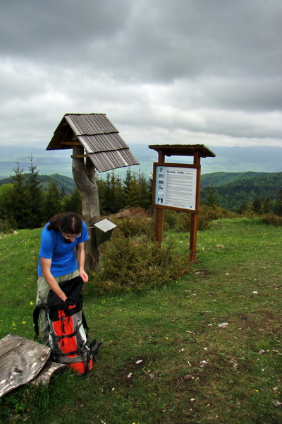 Vysoký vrch (Volovské vrchy)