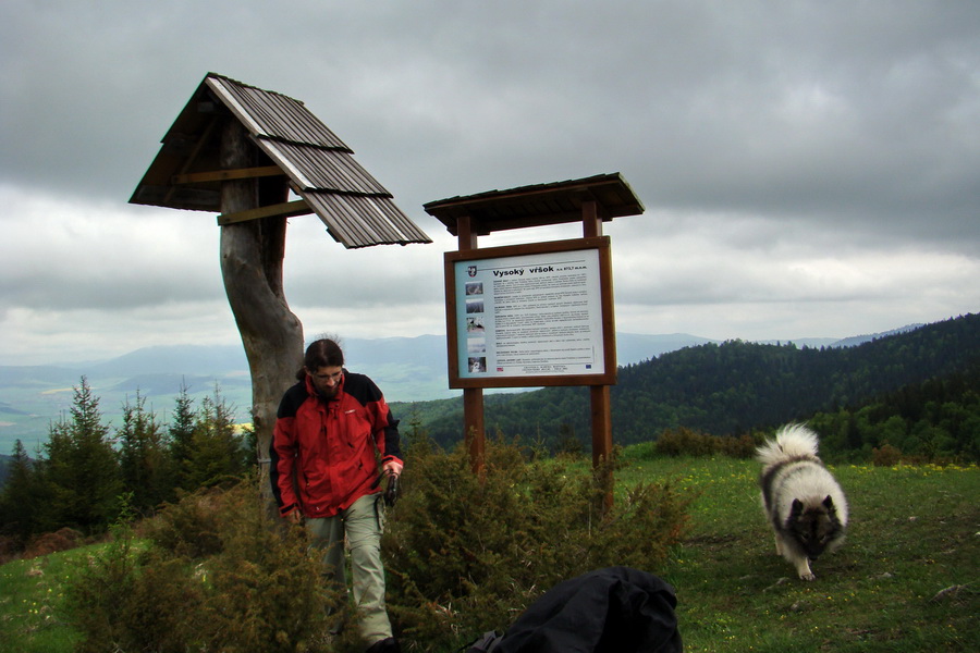 Vysoký vrch (Volovské vrchy)