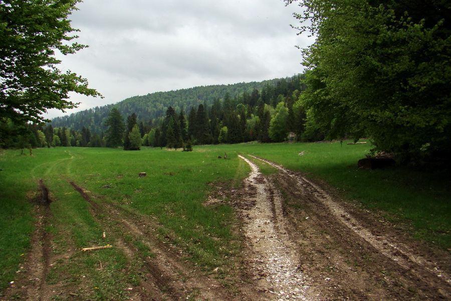 Vysoký vrch (Volovské vrchy)