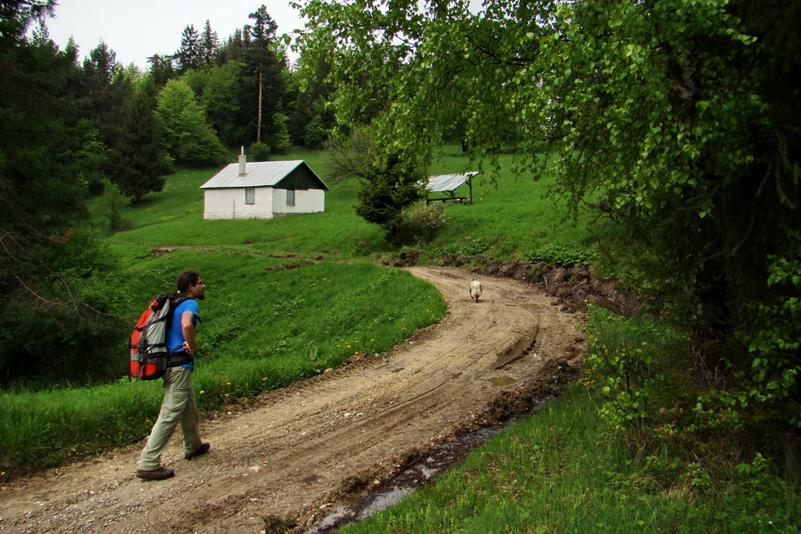 Vysoký vrch (Volovské vrchy)