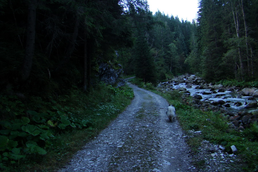 Bielovodskou dolinou na Východnú Vysokú (Vysoké Tatry)