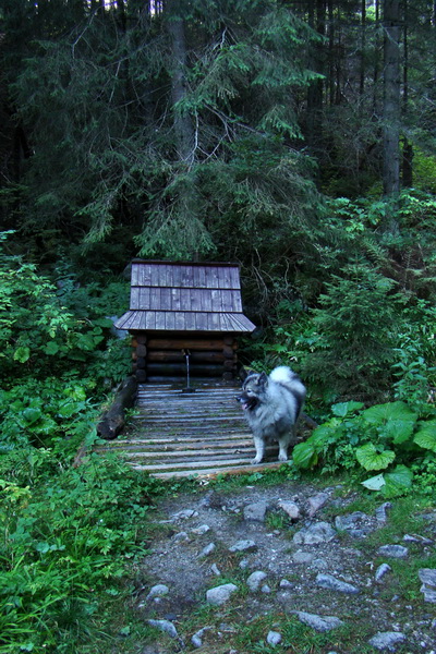 Bielovodskou dolinou na Východnú Vysokú (Vysoké Tatry)