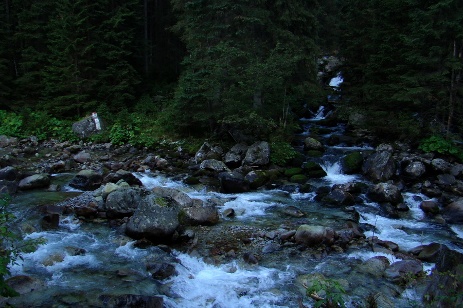 Bielovodskou dolinou na Východnú Vysokú (Vysoké Tatry)