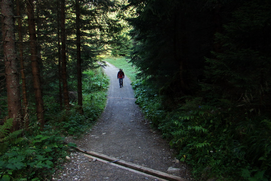 Bielovodskou dolinou na Východnú Vysokú (Vysoké Tatry)