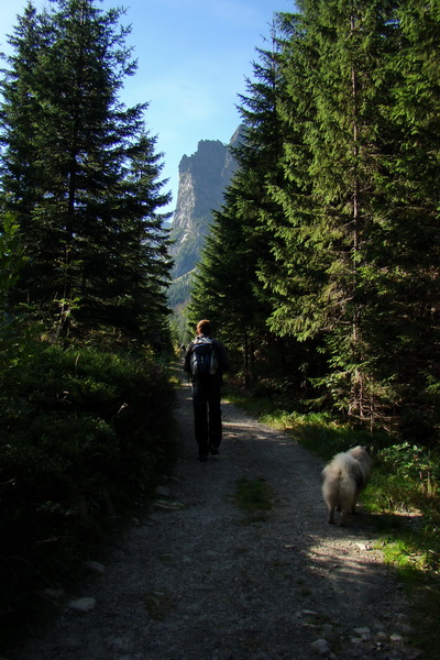 Bielovodskou dolinou na Východnú Vysokú (Vysoké Tatry)