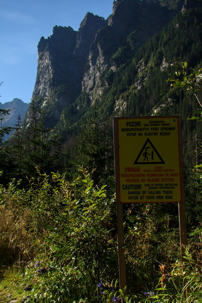 Bielovodskou dolinou na Východnú Vysokú (Vysoké Tatry)