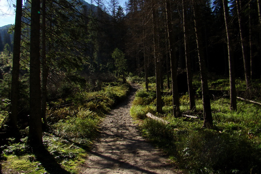 Bielovodskou dolinou na Východnú Vysokú (Vysoké Tatry)