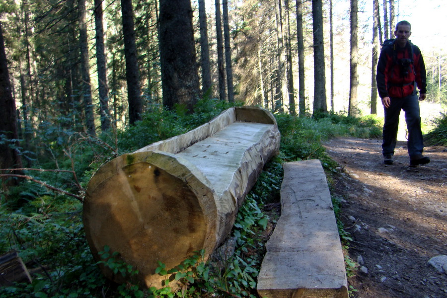 Bielovodskou dolinou na Východnú Vysokú (Vysoké Tatry)