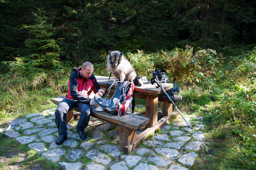 Bielovodskou dolinou na Východnú Vysokú (Vysoké Tatry)