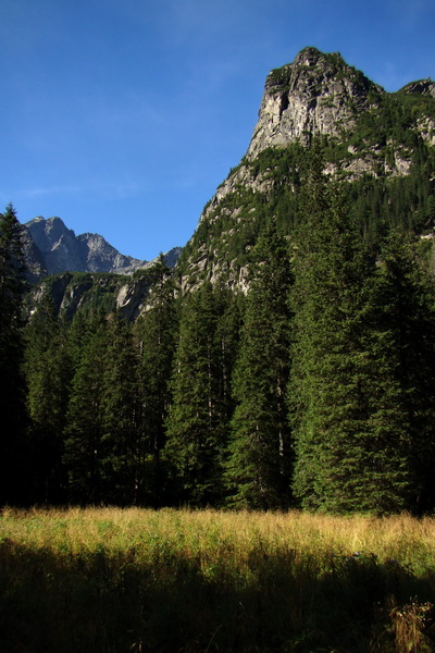 Bielovodskou dolinou na Východnú Vysokú (Vysoké Tatry)