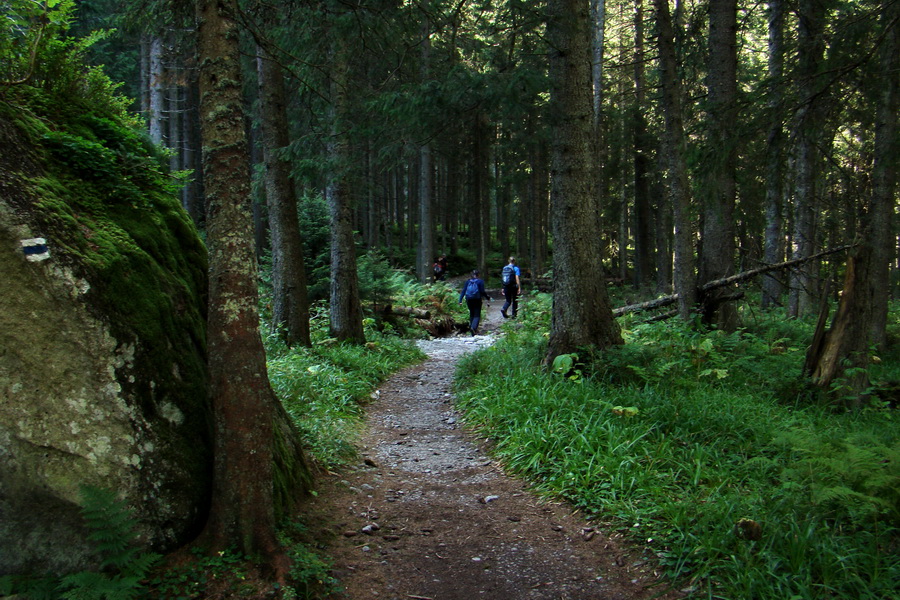 Bielovodskou dolinou na Východnú Vysokú (Vysoké Tatry)