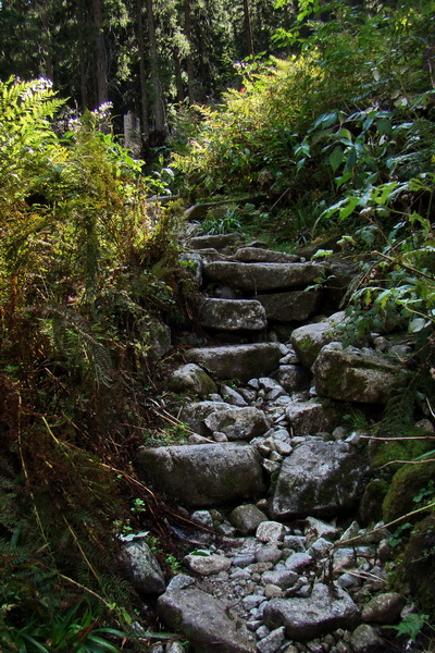 Bielovodskou dolinou na Východnú Vysokú (Vysoké Tatry)