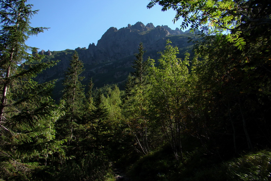 Bielovodskou dolinou na Východnú Vysokú (Vysoké Tatry)