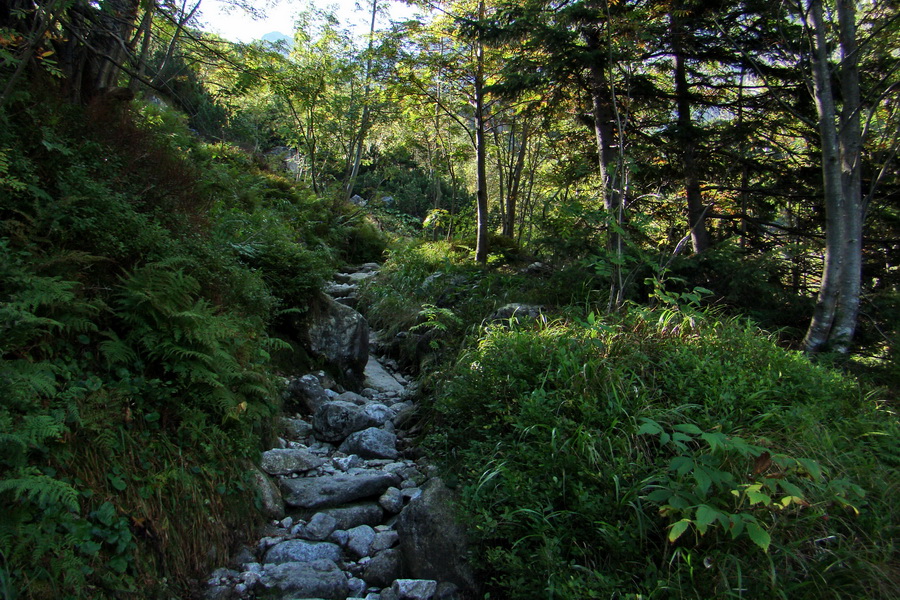 Bielovodskou dolinou na Východnú Vysokú (Vysoké Tatry)