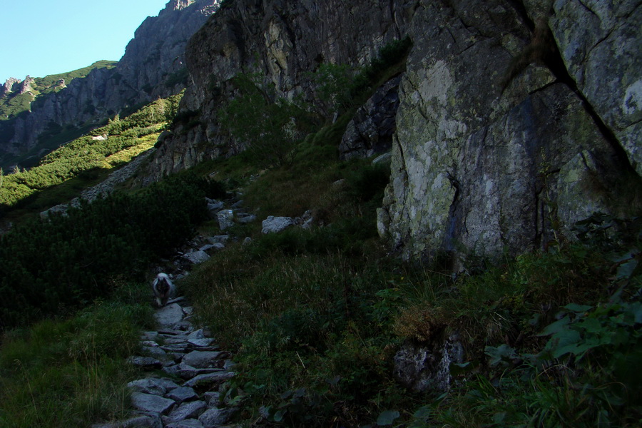 Bielovodskou dolinou na Východnú Vysokú (Vysoké Tatry)