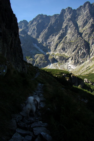 Bielovodskou dolinou na Východnú Vysokú (Vysoké Tatry)