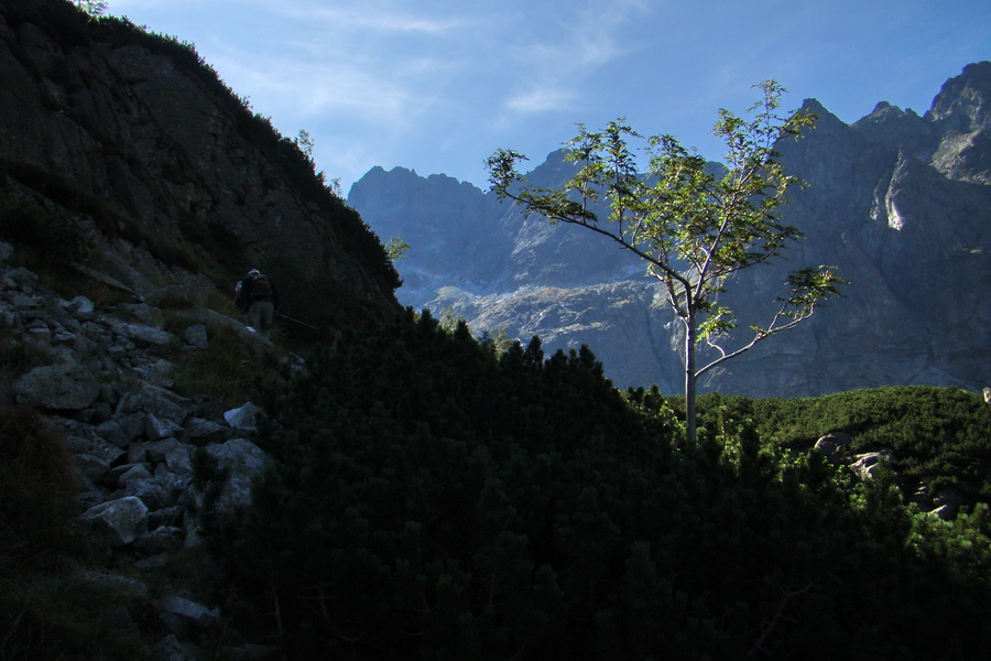 Bielovodskou dolinou na Východnú Vysokú (Vysoké Tatry)