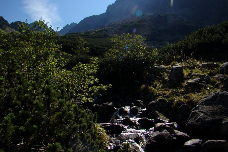 Bielovodskou dolinou na Východnú Vysokú (Vysoké Tatry)