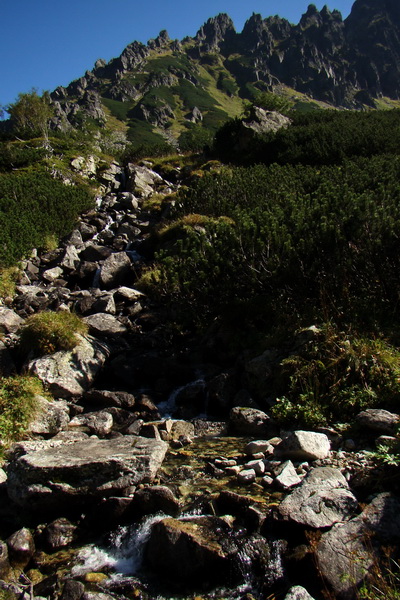 Bielovodskou dolinou na Východnú Vysokú (Vysoké Tatry)