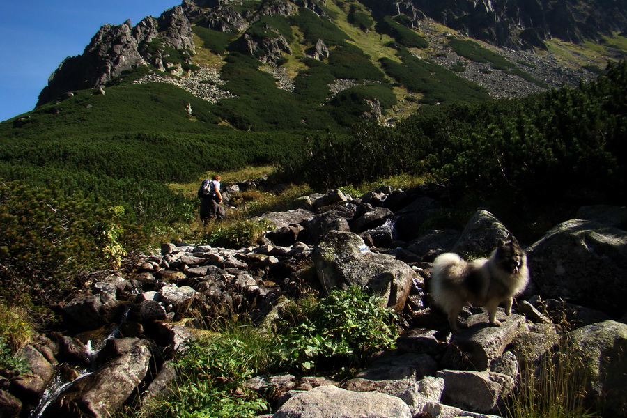 Bielovodskou dolinou na Východnú Vysokú (Vysoké Tatry)