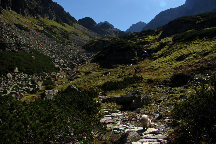 Bielovodskou dolinou na Východnú Vysokú (Vysoké Tatry)