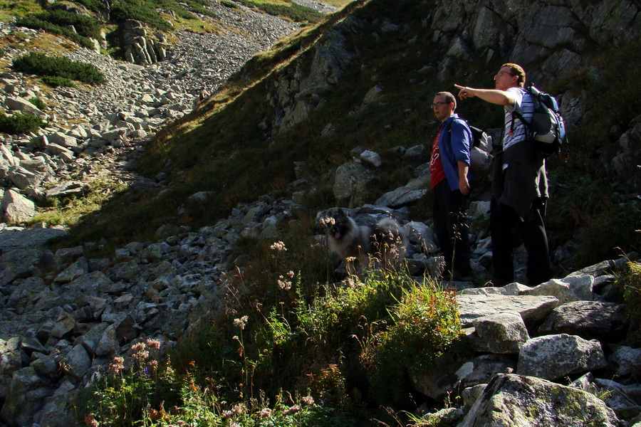 Bielovodskou dolinou na Východnú Vysokú (Vysoké Tatry)